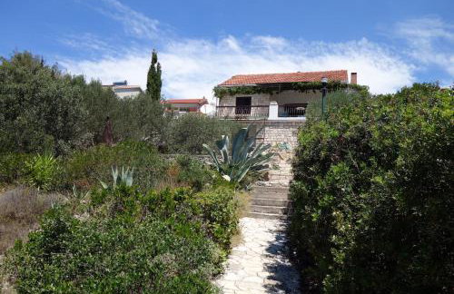 Apartmani Surjan - Foto 16