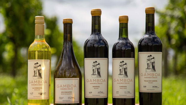 Visit to Bodega Gamboa Winery - Photo 4