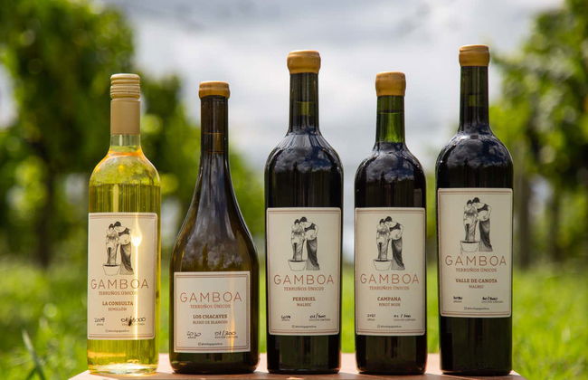 Visit to Bodega Gamboa Winery - Photo 4