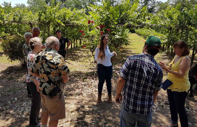 Isla de Maipo Wine Tour - Photo 4