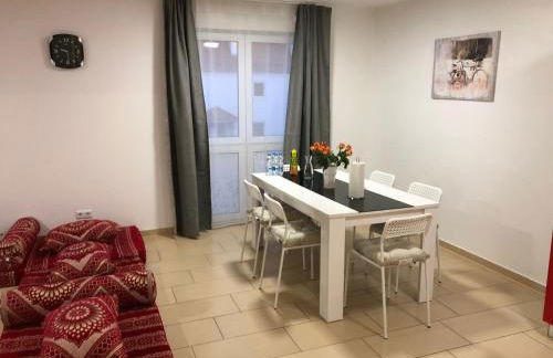 Sahara Falcon - Photo 78