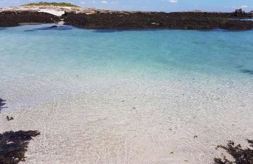 Le paradis des enfants et sa maison en bois - Foto 76
