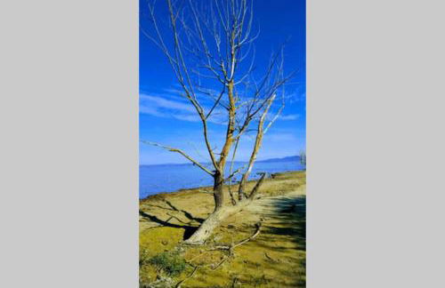 Bellavista la tua romantica vacanza sul Trasimeno - Foto 41