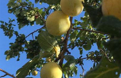 L'insolite et médièvale Tour Yselda - Foto 31