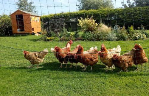 Coastal Garden Lodge - Foto 16