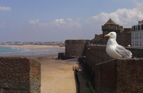 Apartment in Saint Cast near 7 Beaches - Foto 23