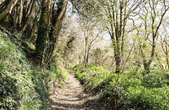 Cosy Couples Getaway - The Nook, set in 6 acres of private grounds - Foto 19