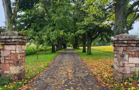 The Yellow House - Foto 25