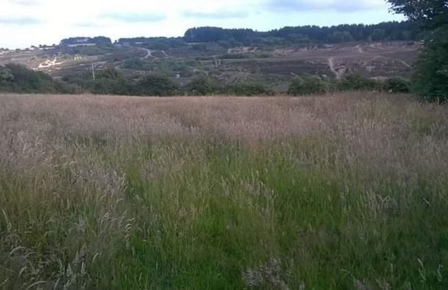 Lovely 3-bed Annex Located on a Working Farm - Foto 16