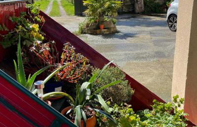 AT El Manzano - Jardín & BBQ - Los Gayoles Rural - Foto 26