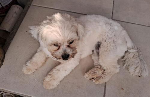 kitnets Luz Beira mar - Foto 40