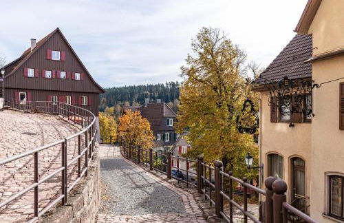 Ferienwohnungen Metzgerpost - Foto 5