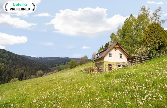 Chalet in Sankt Andra Near Koralpe Ski Area - Foto 34