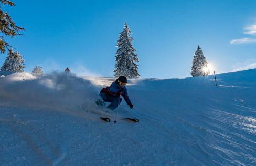 "Chalet H28" mit 4 Schlafzimmer in Todtnau-Muggenbrunn - Foto 33