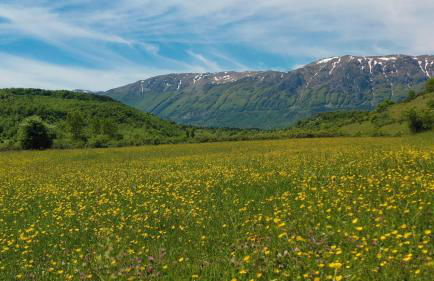 Il Canto degli Uccelli - Foto 37