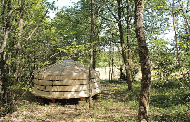 Ô bois dormant - Foto 15