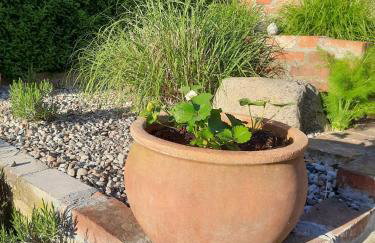 Sielanka Gardna Wielka - Foto 40