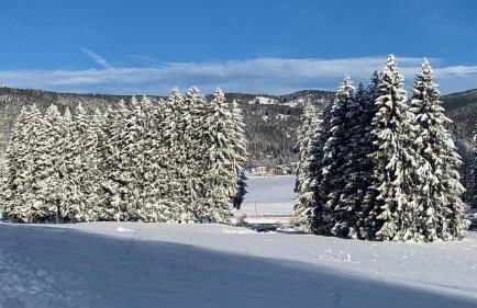 Casa Rigoni - Foto 34