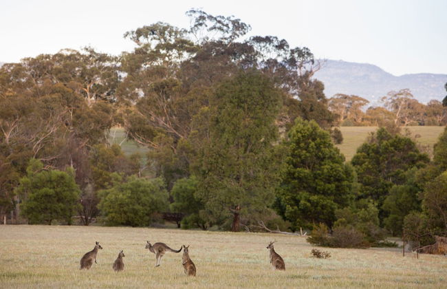 Boroka Downs - Photo 35
