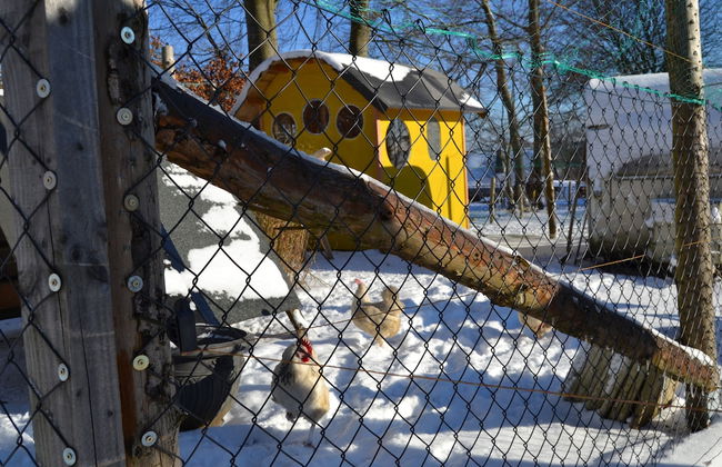 Ferien Bei Freunden Im Holzhaus - Photo 15