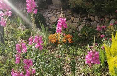 Da Mario & Marianna - Foto 7