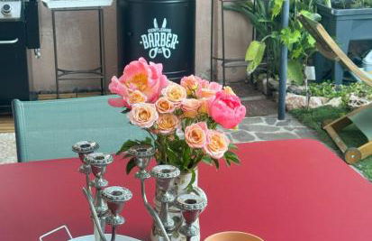 House Isabelle in Golf Saint Endreol, Provence, great view - Foto 35