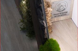 Appartement calme et raffiné en hypercentre dans une résidence historique parking - Foto 9