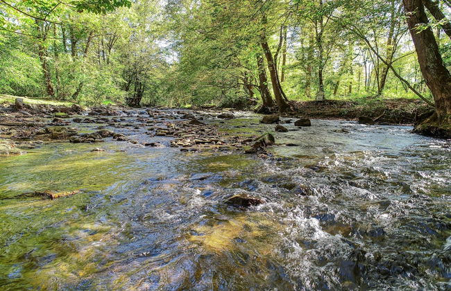 Whispering Creek - 2 Bedrooms, 1 Baths, Sleeps 6 Cabin by RedAwning - Foto 11