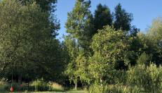 Le refuge côtier - Foto 4, Garden view