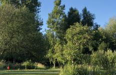 Le refuge côtier - Foto 4