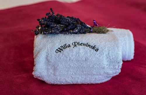 Willa Pienińska - Foto 11