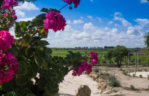 Residence Casale Verderame - Foto 33