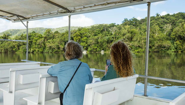 Excursión a Daintree, Mossman Gorge y Cape Tribulation - Foto 3