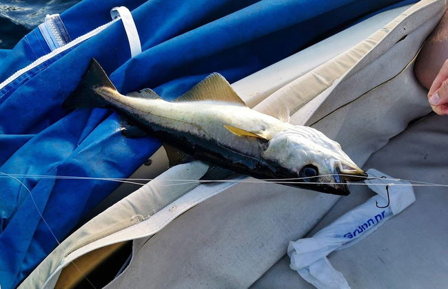 10 Person Holiday Home in Stathelle-by Traum - Foto 15