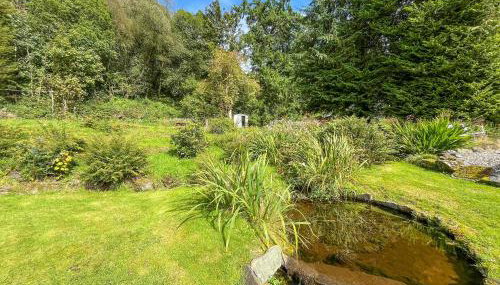 Holly - Apartment - Foto 2