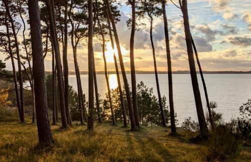 Tallskog - Dein Apartment am Naturstrand Hohen Wieschendorf - Foto 30