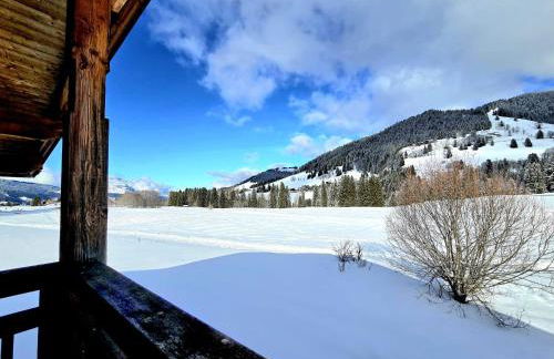 Chalet du Lay Côte 2000 ski in ski out - Foto 32