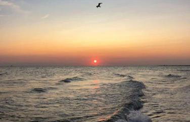 North Truro Pet-friendly home near Secluded Beach - Foto 22