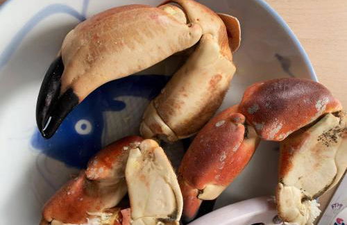 Berneray Otter Cottage - Foto 28