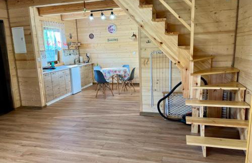 Siedlisko Jaskółka - Puszcza Białowieska - Foto 33