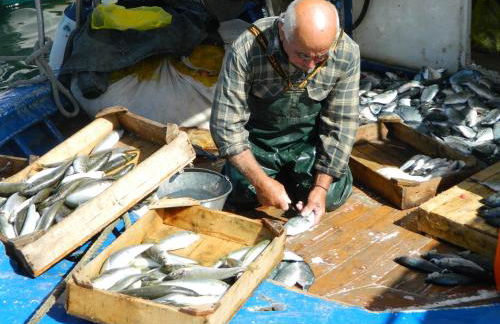 Sounio Palea Heaven - Foto 60