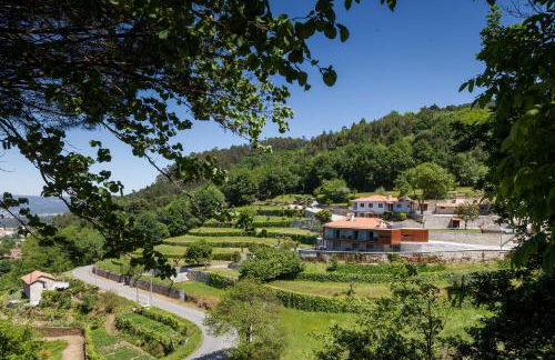 Quinta do Fontelo - Foto 28