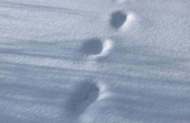 FH "Schmetterling" am See im hessischen Bergland - Photo 31