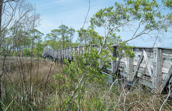 Seashell Shuffle at Pilot House - Foto 40