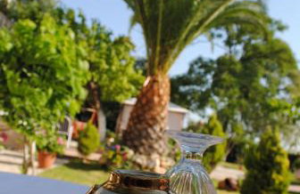 Villa Olga Lounge Hotel - Foto 30