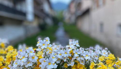 Appartamento Al Vicolo - Foto 2