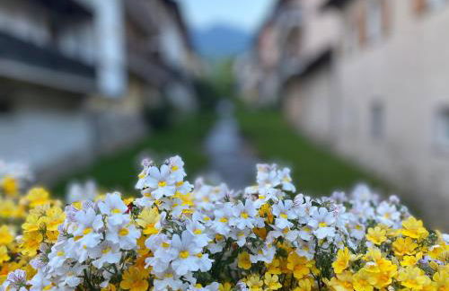 Appartamento Al Vicolo - Photo 2