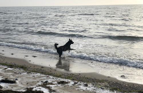 Villa Rosengarten - Foto 41