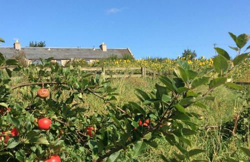 Garden Bank Cottage - Foto 6