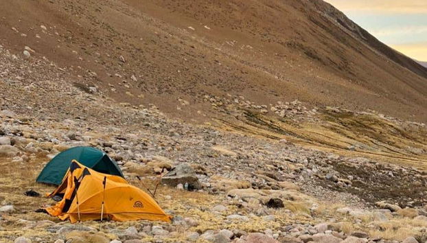 Sleep surrounded by nature